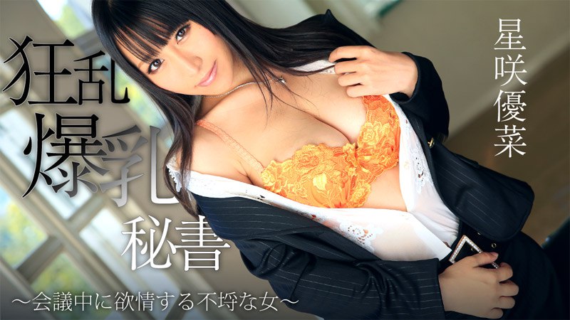 《Heyzo-0746  狂乱爆乳秘書～会議中に欲情する不埒な女～  星咲優菜》最新高清在线播放封面图